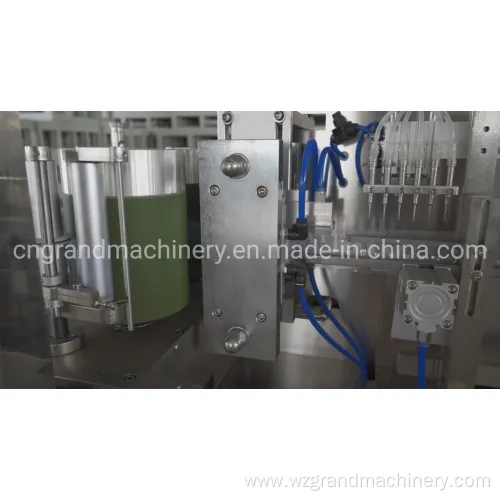 Sealing Machine with Date Coding Ggs-118 (P5)